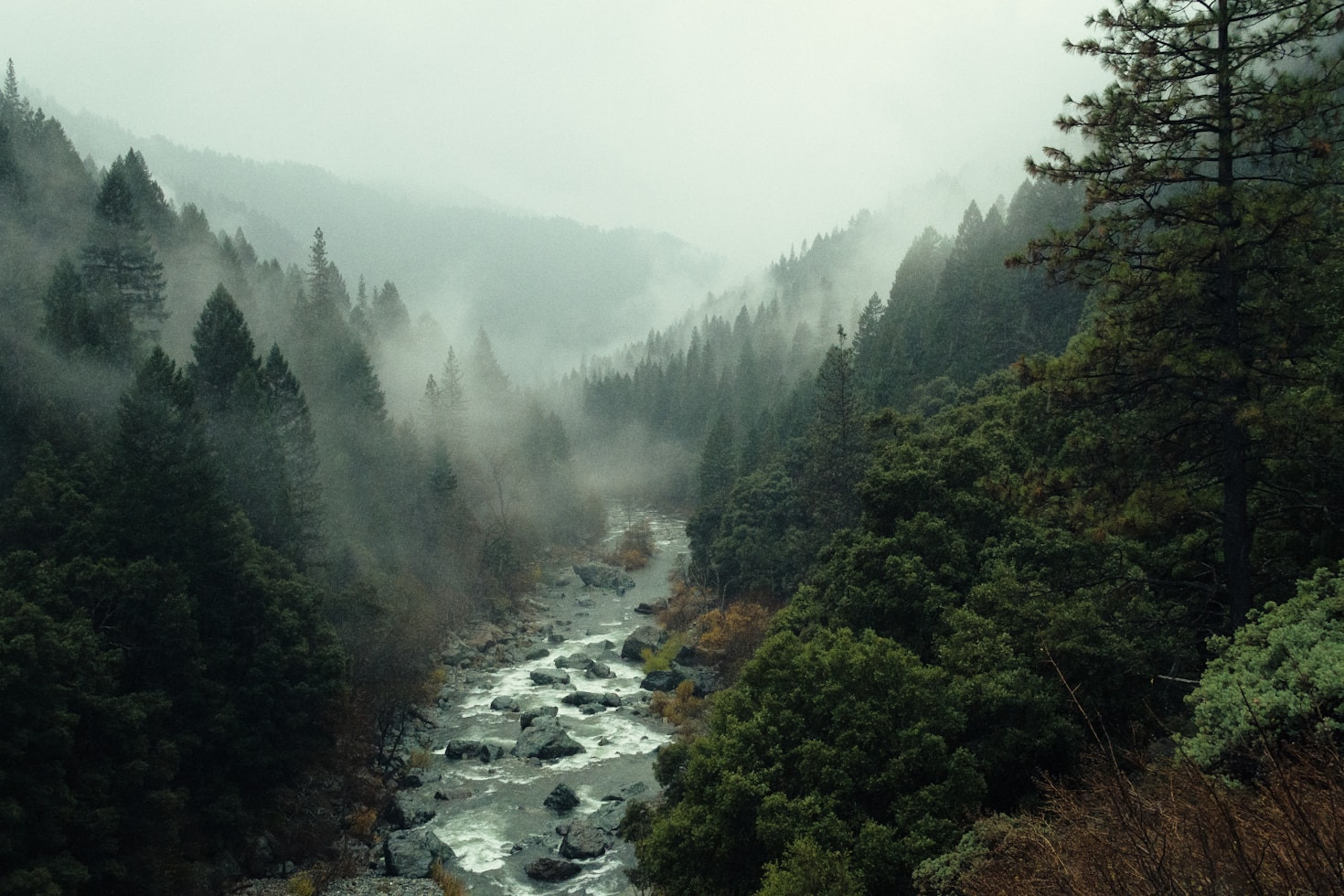 Dicas Essenciais para Viajantes de Primeira Viagem